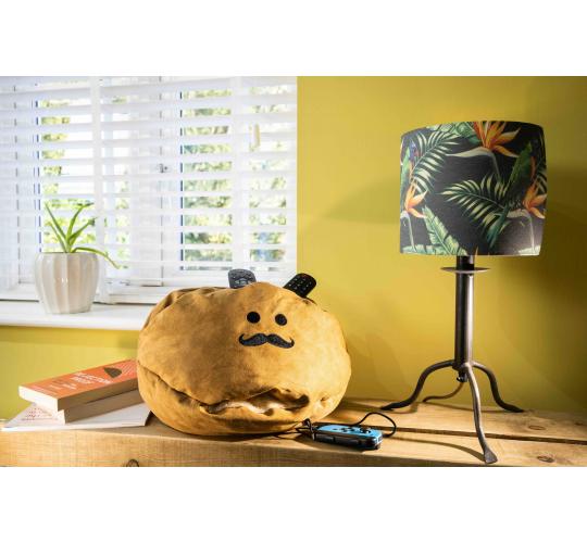 'Couch Potato' Remote Control Storage Cushion