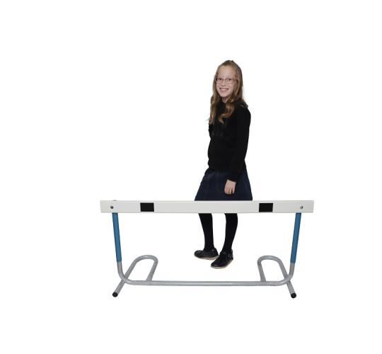 Joblot 10x Junior Central Hurdle 