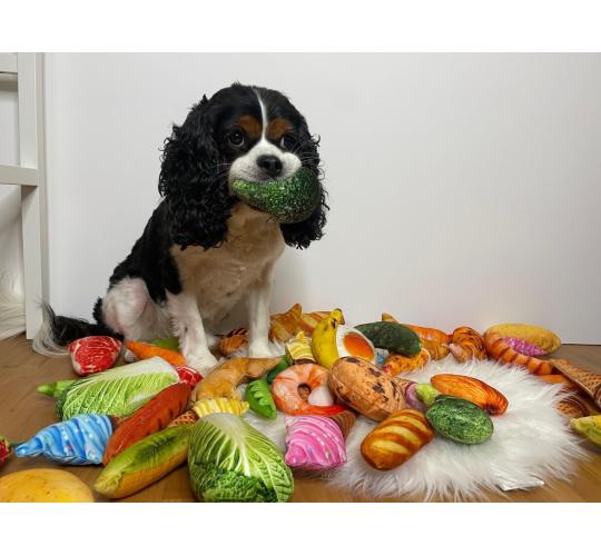 Super Realistic Food Dog Toy