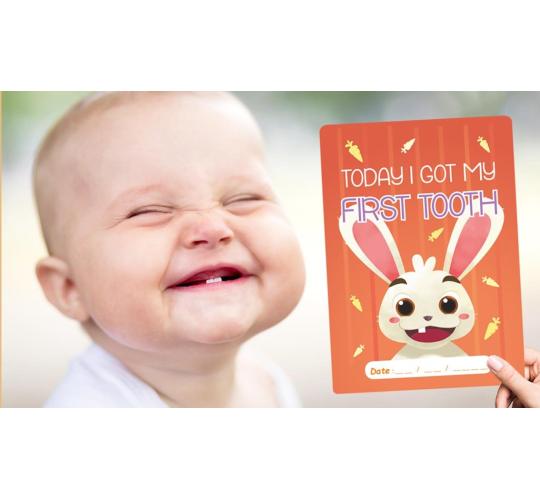 Clearance Joblot of Baby Milestone Cards