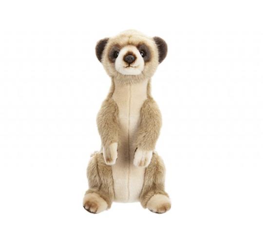 Premium Meerkat Plush 30cm – Case of 24 (RRP £19.99)