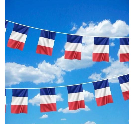 LIQUIDATION - 100 Buntings France Flags - PVC Waterproof