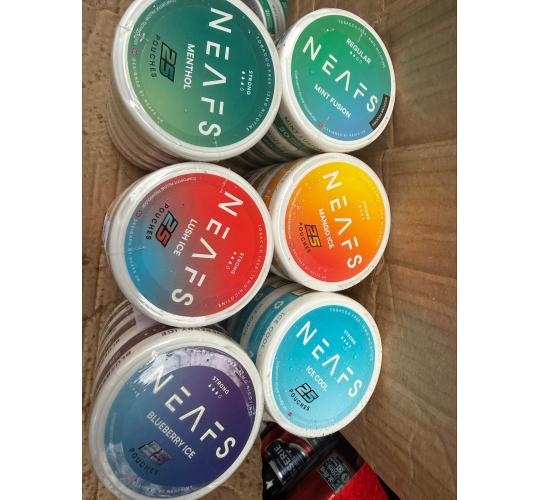 NEAFS Nicotine Pouches - Mango Regular (8mg) 250 x cans of 25 pouches (£6.49 RRP per can, £1,622.50 RRP for joblot)