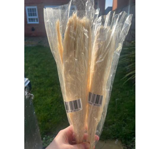 Mixed pampas grass bunny tails flowers joblot x100