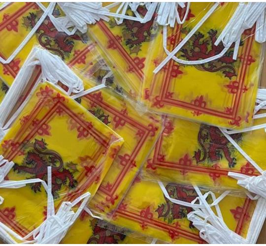 LIQUIDATION X450 Rampant Lion Buntings PVC Waterproof (33ft EACH)