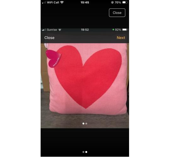 10 two tone pink Agatha luiz del prada large cushions 