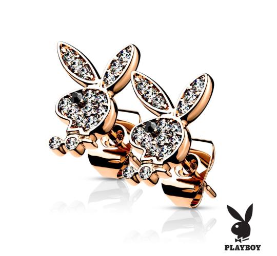 Wholesale Job Lot of 20 Pairs of Playboy CZ Earrings