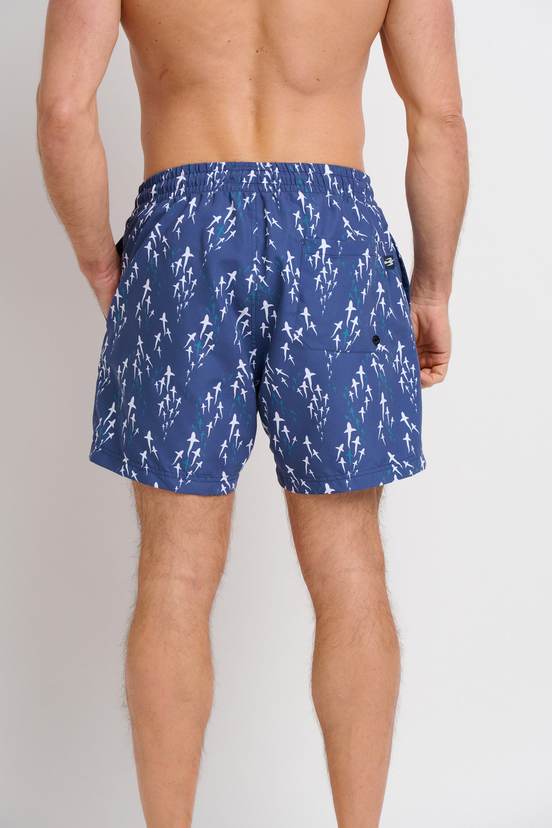 Brakeburn Sea of Sharks swim shorts product view